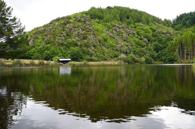 We stayed at Gabriel’s Gully @docgovtnz Camp just outside @lawrence_otago it’s been years since we were last here, and we were surprised by how quiet it was for this time of year. Loads of space, very few campers, and plenty of birdlife around camp, Tommo’s epic photography!
We jumped straight onto the @cluthagoldtrail and spent the rest of the time chilling and camping with friends. Wee bit tight on the access, simple setup, and a spot that works really well for a relaxed few days. A new favourite.
#tasmantravels #newzealand #vanlife #travel #caravanlife