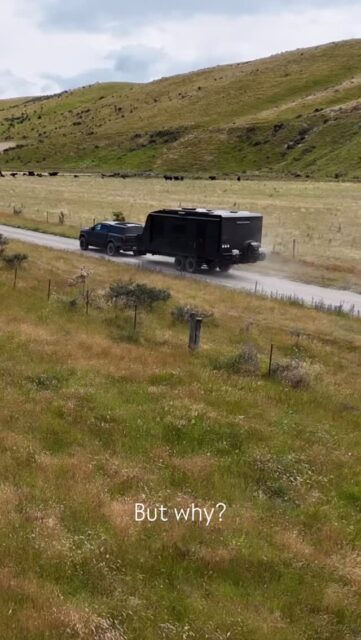 But why?
#tasmantravels #newzealand #nihilist #travel #nihilistpenguin