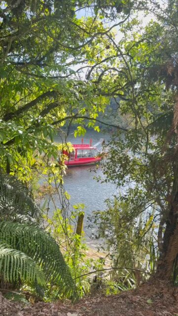 One of the best things to experience on the @westcoastnewzealand
#tasmantravels #newzealand #westcoast #franzjosef