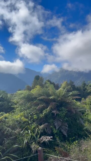 📍 @franzjoseftop10 @top10holidayparks @glaciercountrynz @westcoastnewzealand
#tasmantravels #newzealand #vanlife #travel #love