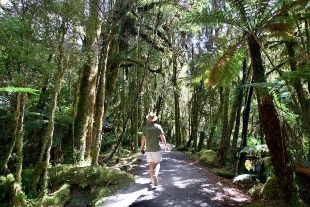 Out here, nature doesn’t perform for us, it simply exists, and in witnessing it, we remember how small and lucky we really are.
📍 Te Ara Kairaumati Lake Matheson, @glaciercountrynz @westcoastnewzealand
#tasmantravels #westcoast #nature #adventure #earth