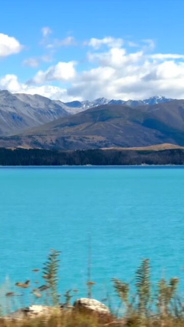 A must do in @laketekaponz 💦
@tekaposprings
Right now get 15% off of the Soak in the Stars Premium Tickets by using code, TASMANTRAVELS