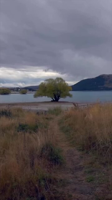 📍 @laketekaponz @nzmcainc park @nz_mackenzie
